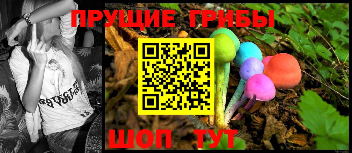 Псилоцибиновые грибы GOLDEN TEACHER  Вход с VPN  Видное 